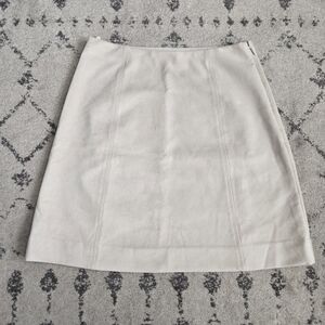 Aritzia Babaton Modern Mini Skirt